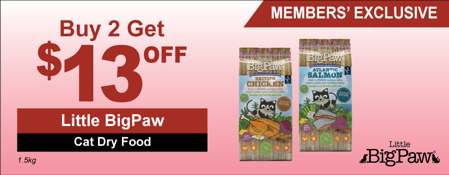 Little Big Paw Cat Dry Food Promo